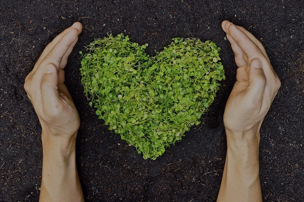 Photo - a green scrub in the shape of a heart enclosed with two hands protecting it reflecting Steeplechase Construction's values